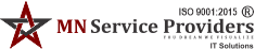 MN Service Providers (MNSP)
